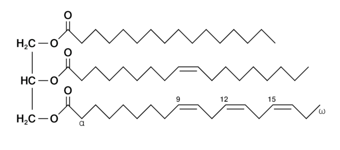 Lipids  A Level Notes