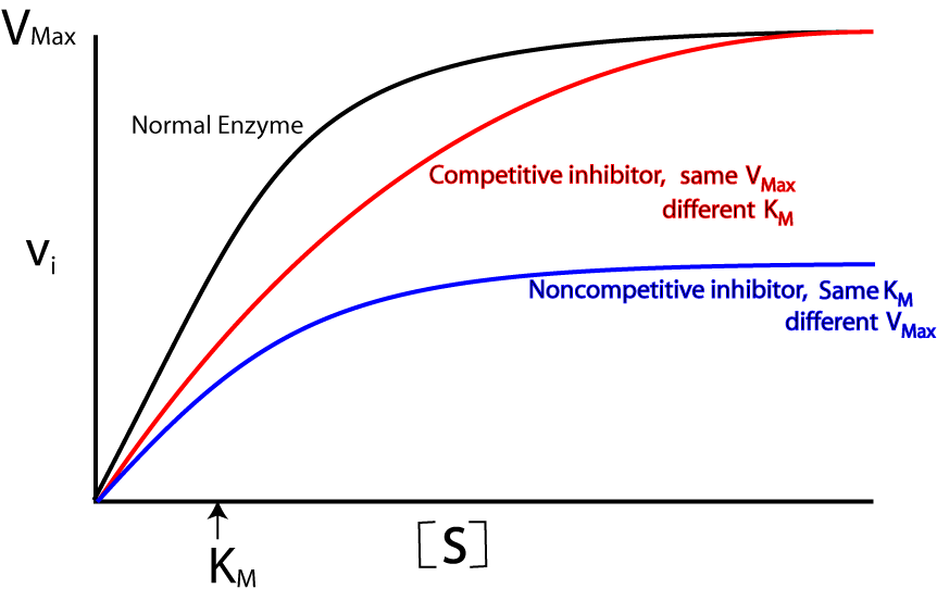 enzyme inhibitor examples